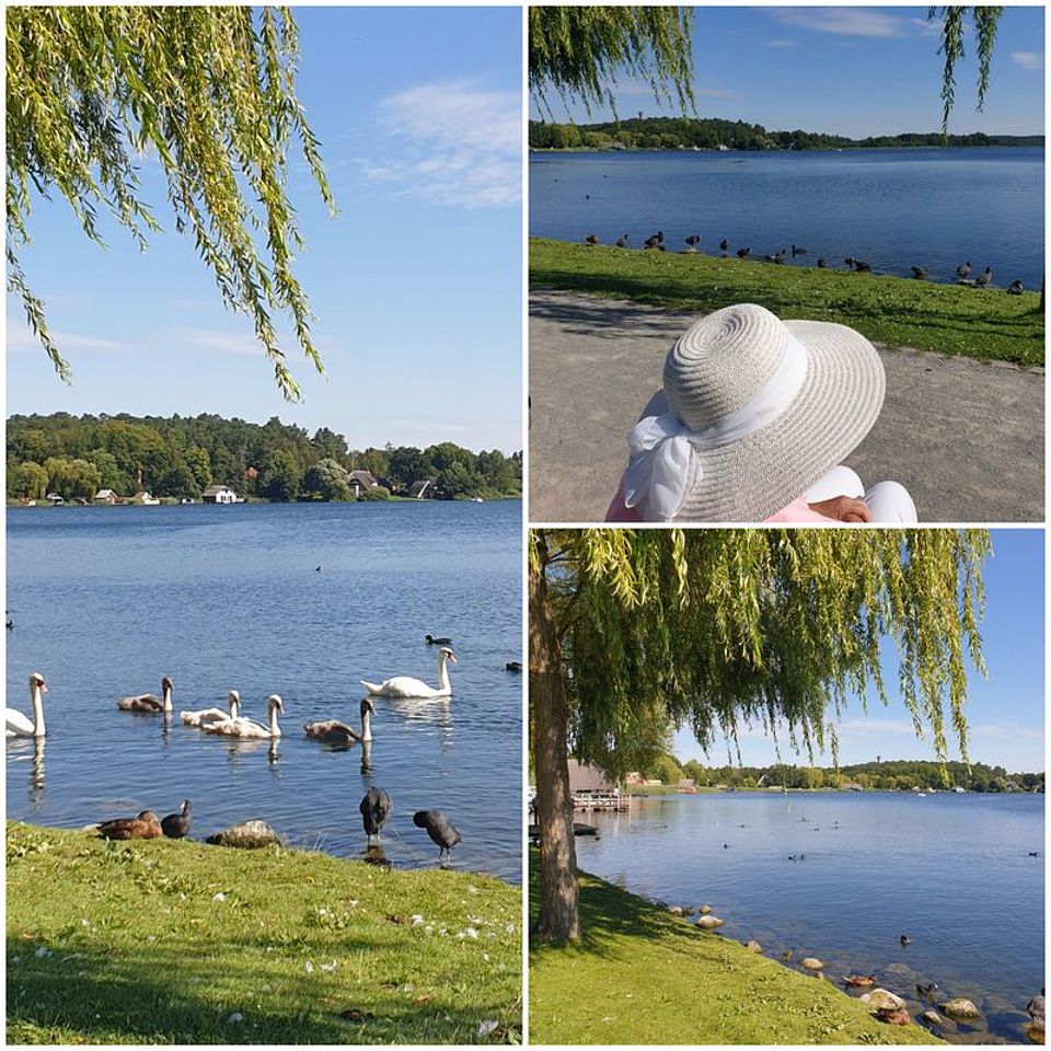 Bild zeigt eine Collage aus drei Bildern, welche den Krakower See von der Seepromenade in Krakow aus zeigen