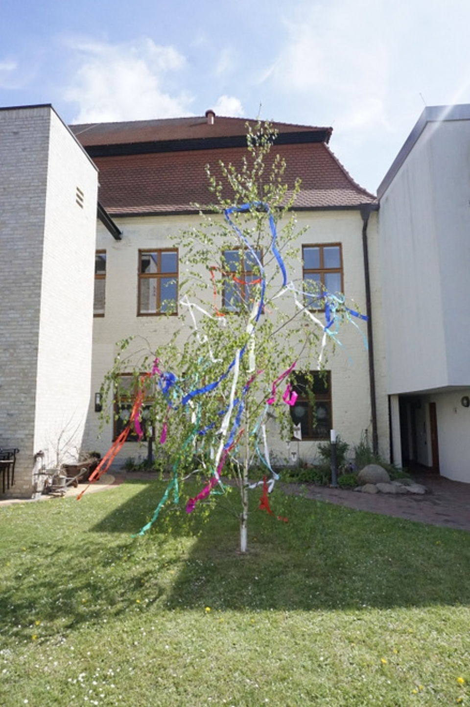 Bild zeigt im Innenhof der Tagespflege Güstrow auf dem Rasen eine als Maibaum geschmückte junge Birke. In den Baum der schon grüne Blätter zeigt, sind Bänder in rot, grün, pink und blau eingebunden. Die Bänder flattern im Wind und es scheint die Sonne.