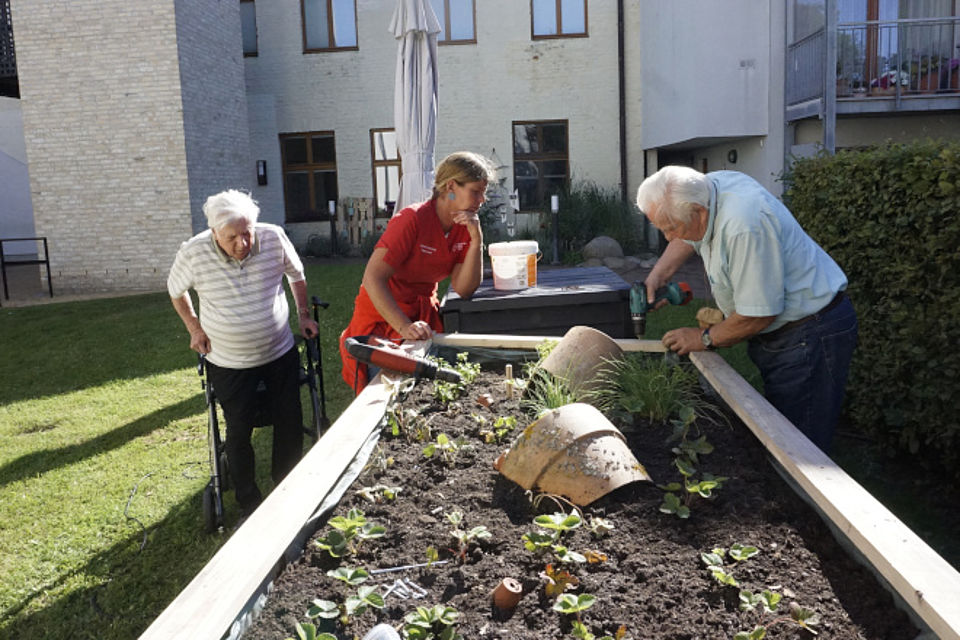 Bild zeigt: Drei Personen, darunter zwei Senioren, arbeiten gemeinsam im Garten an einem Hochbeet im Innenhof einer Wohnanlage oder Pflegeeinrichtung. Ein älterer Mann (rechts) in einem hellblauen Hemd benutzt einen Akkuschrauber, um Holzrahmen zu befestigen. Eine Mitarbeiterin (Mitte) in roter Dienstkleidung beaufsichtigt die Arbeit. Eine älterer Mann (links) mit einem Rollator beobachtet das Geschehen. Das Hochbeet ist mit kleinen Pflanzen, darunter Erdbeeren, bepflanzt.