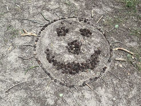 Bild zeigt einen aus Kiefernzapfen, Steinen und Stöckchen auf dem Waldweg gelegten Smiley.