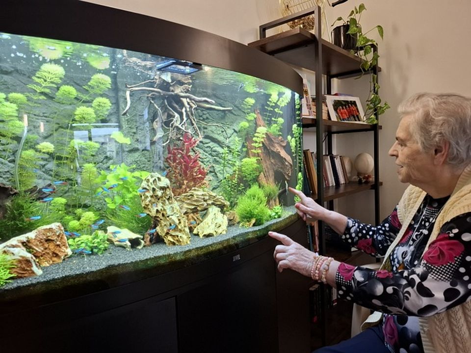 Bild zeigt eine ältere Frau vor dem großen Aquarium im Gemeinschaftsraum. Das Aquarium hat eine leicht gewölbte Frontscheibe und ist sehr schön mit Pflanzen und Steinen dekoriert. Vorne links schwimmt ein Schwarm von roten blauen Neon-Salmlern