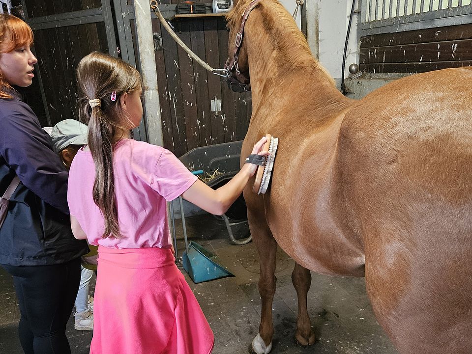 Bild zeigt eine junge erwachsene Frau und ein junges Mädchen in einem Pferdestall. Ein Pferd, hellbraun, steht angehalftert und wird von dem jungen Mädchen mit einer Bürste gestriegelt.