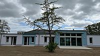 Bild zeigt den Ginko-Baum vor der Senioren Wohnanlage
