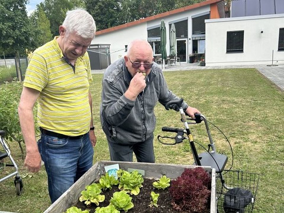 Bild zeigt Herrn Simon und Herrn Briese am Salatbeet