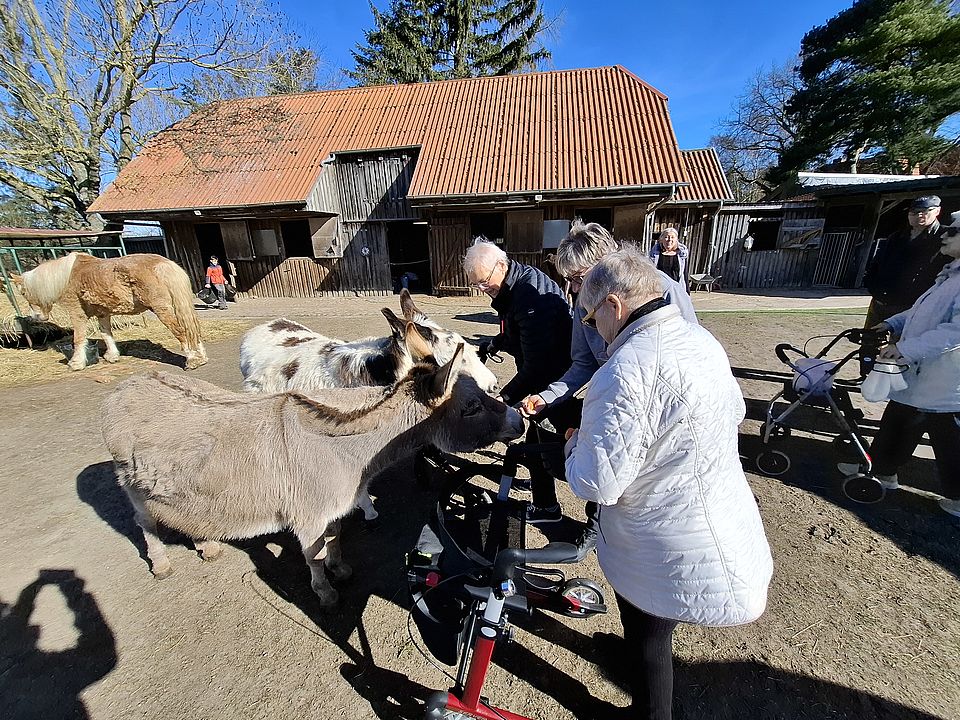 Bild zeigt: Mehrere Senioren stehen an einem sonnigen Tag auf dem Gelände des Tier-Gnadenhofs in Öttelin und interagieren mit zwei Eseln, die sich neugierig an sie herangetraut haben. Eine ältere Dame in einer weißen Jacke beugt sich über eine Gehhilfe, um die Tiere zu streicheln. Im Hintergrund sind ein drittes Tier, ein Pony, in einem umzäunten Bereich und ein altes Stallgebäude mit einem ockerfarbenen Ziegeldach zu sehen.