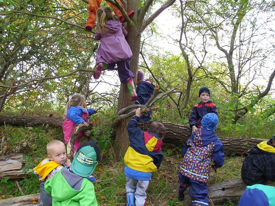 Kinder klettern auf einen Baum