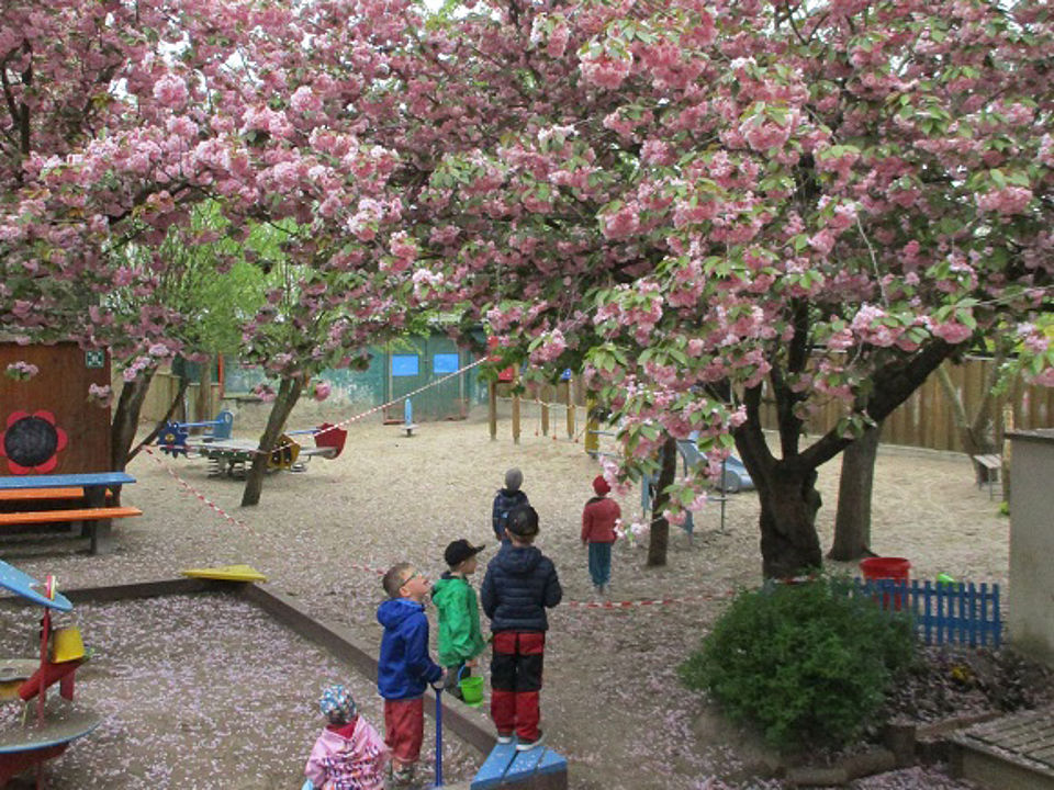 Bild zeigt den Innenhof des Geländes