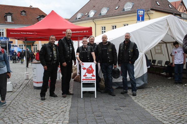 Grey Bulls werben für Blutspende