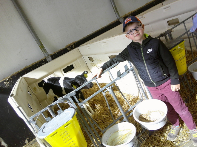 Bild zeigt: Ein lächelnder Junge steht in einem Stall neben einem Kälbchen. Der Junge trägt eine schwarze, gesteppte Weste über einer dunklen Jacke mit einem weißen Nike-Logo, eine blaue Baseballkappe und eine Brille. Er lehnt sich an das Metallgitter einer Kälberbox. In der Box liegt ein schwarz-weiß geflecktes Kalb auf Stroh. Im Vordergrund stehen mehrere weiße Eimer und ein großer gelber Messbehälter im Stroh. Die Szene spielt in einem hell beleuchteten Stallgebäude .