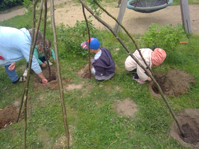 Bild zeigt: Eine erwachsene Person und drei Kinder arbeiten im Garten an einem Bohnenzelt. Die Erwachsene in einem hellblauen Oberteil kniet links neben einem der Kinder und hilft dabei, ein Pflanzloch in die Erde zu graben oder einen Stock zu befestigen. Die zwei anderen Kinder, eines mit einer blauen Kappe und eines mit einem rosafarbenen Mützchen, knien ebenfalls vor ihren eigenen Löchern im Gras und arbeiten mit den Händen im Boden. Mehrere dünne Holzstangen wurden bereits in die Erde gesteckt, um die Gerüststruktur des Bohnenzelts zu bilden. Im Hintergrund ist eine aufgehängte Schaukel (Nestkorb) zu sehen.