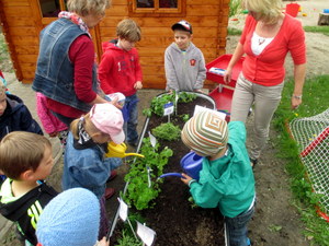 Kinder bei der Pflanzenpflege im kleinen Garten