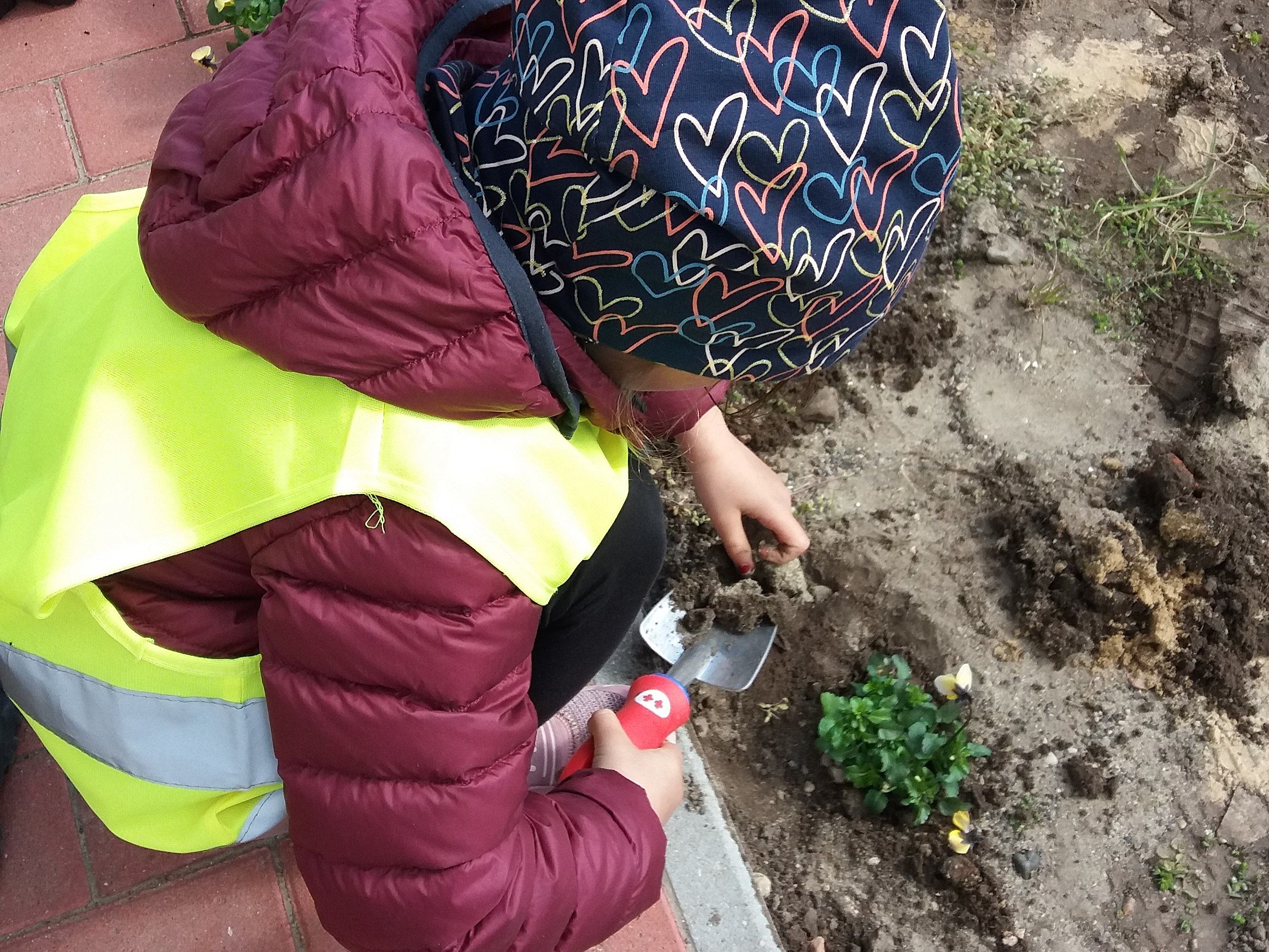 Bild zeigt Kinder beim einpflanzen der Blumen