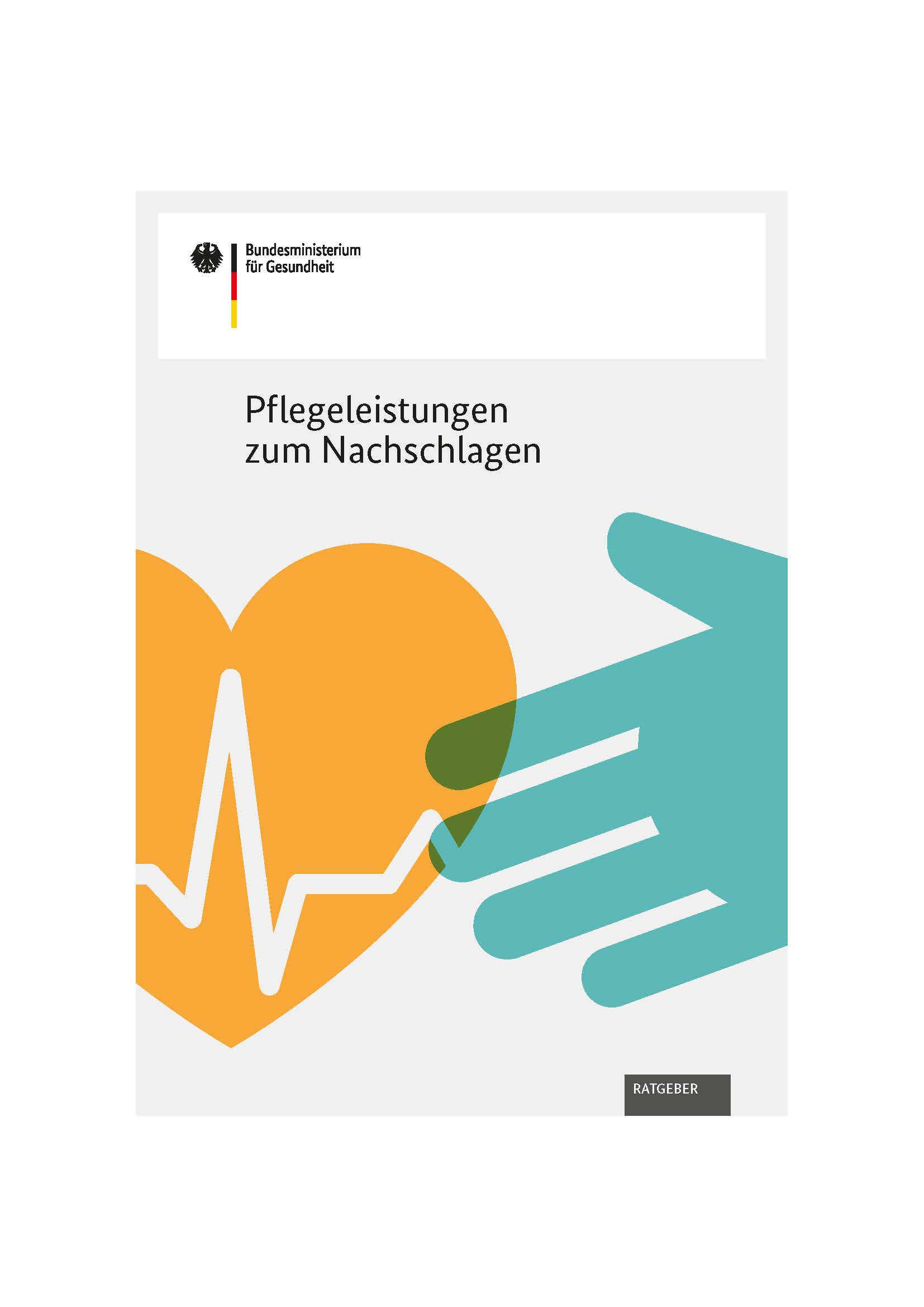 Download Broschüre Pflegeleistungen