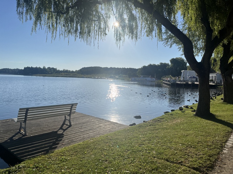 Bild zeigt einen Blick auf den Krakower See von der Seepromenade. Links steht eine weiße Bank auf einem in den See hineinragenden Ponton-Steg. rechts stehen zwei Trauerweiden durch deren hängende Zweige die Sonne hindurchschimmert. Die Sonne spiegelt sich glitzernd im Wasser.