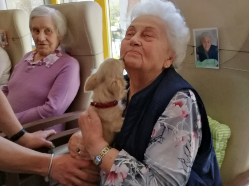 Bild zeigt eine Seniorin mit einem kleinen Hund 